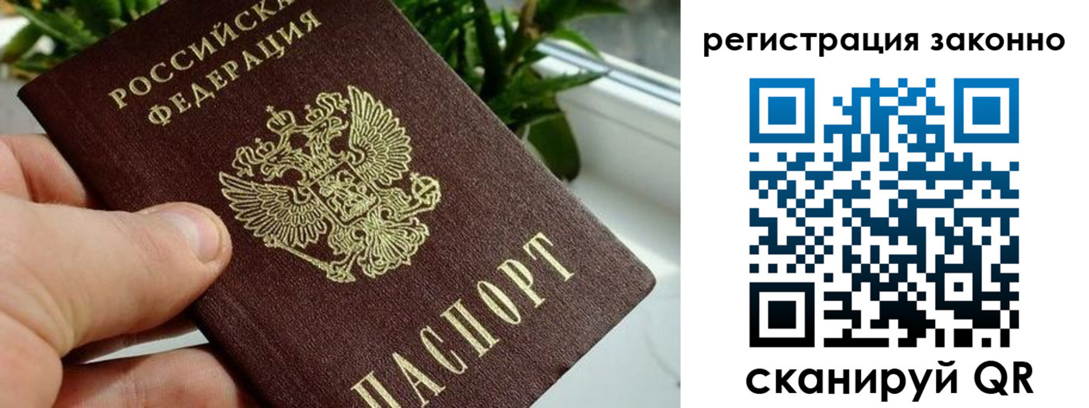 прописка гарантия в Бирске